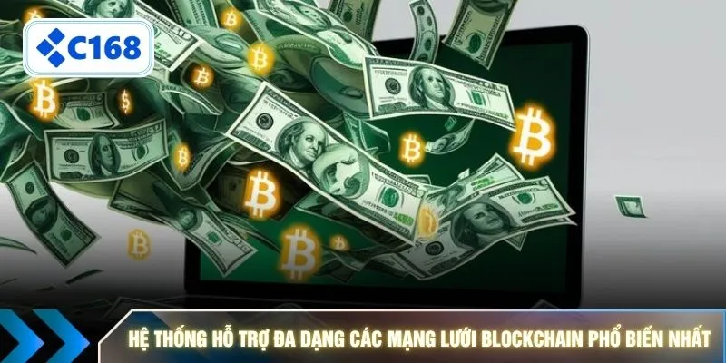 Hệ thống hỗ trợ đa dạng các mạng lưới Blockchain phổ biến nhất