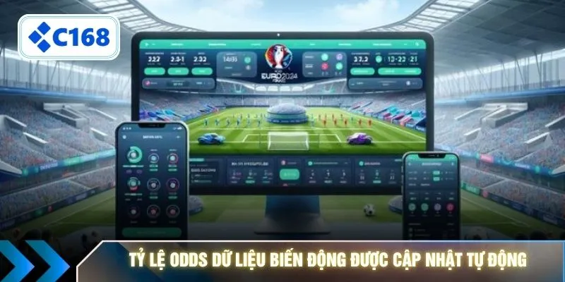 Tỷ lệ Odds dữ liệu biến động được cập nhật tự động